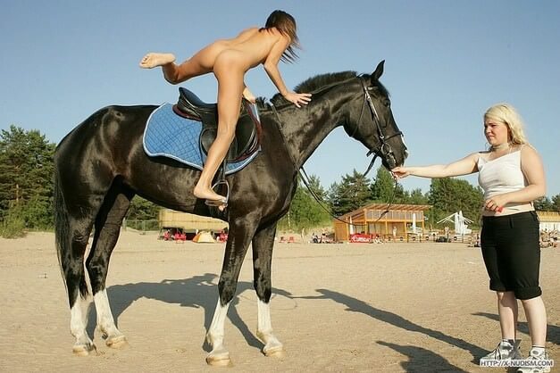 Ride on horseback - Ordinary people as naturists