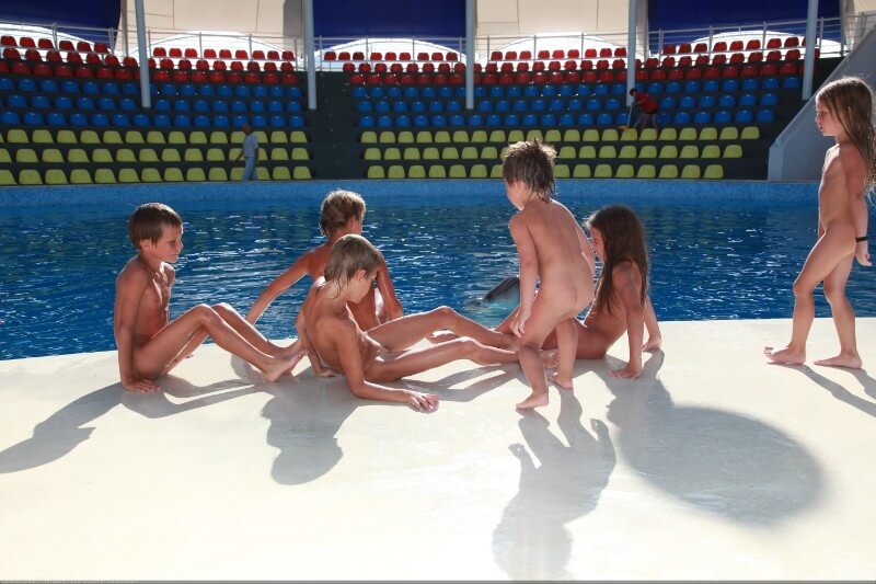 Swimming dolphins photo gallery - What did you know about nudism
