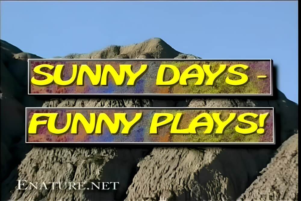 Enature - Sunny Days – Funny Plays - Nudists relax beautifully—a sight to behold