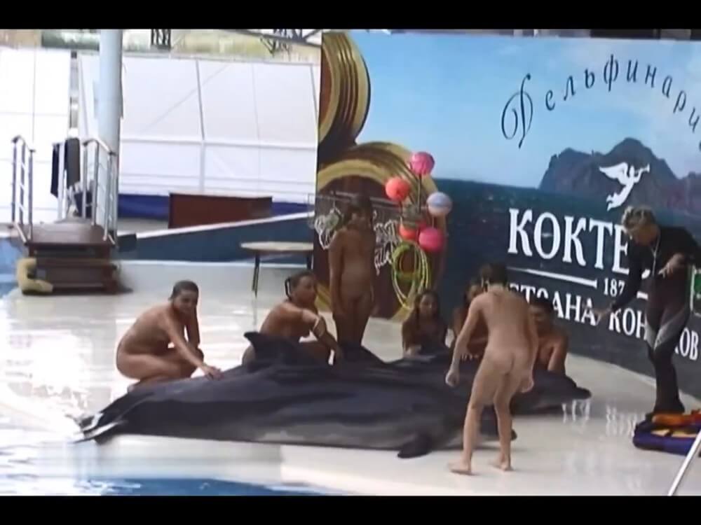 Relaxing at the dolphinarium - A nudist values trust and friendliness among people