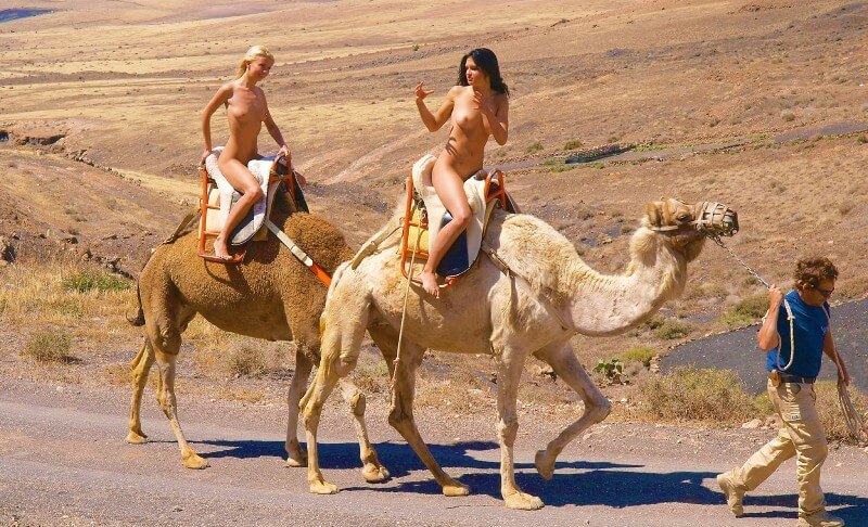 Funny Moments Life pics - Visiting the Beach Without Clothes
